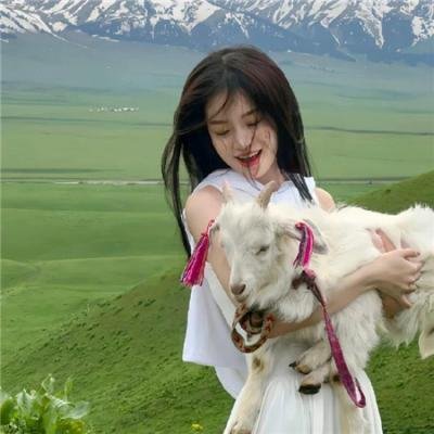 飞机总动员：打火英雄